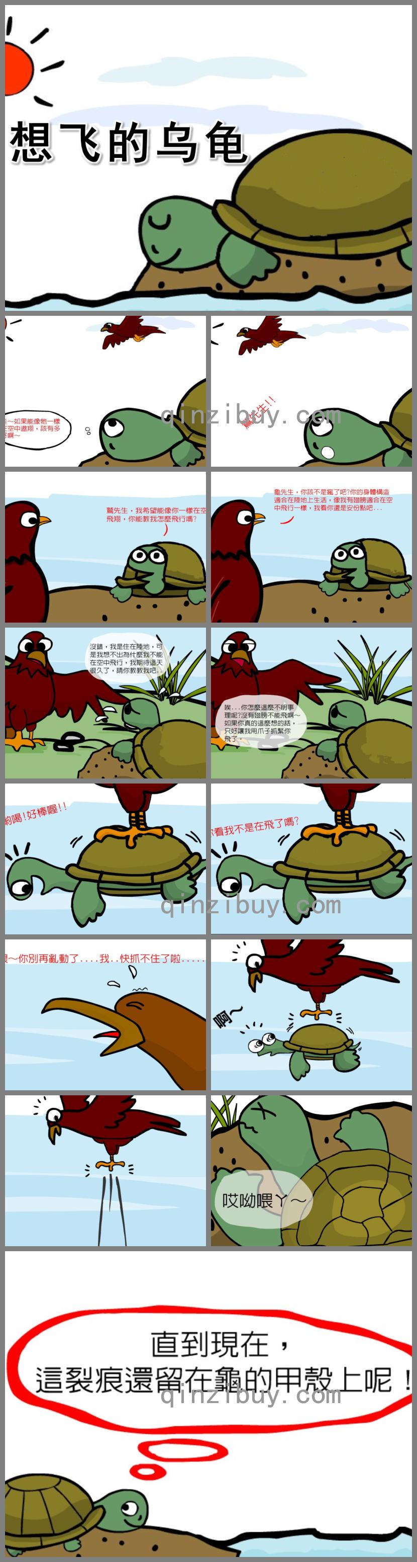 大班语言想飞的乌龟PPT课件