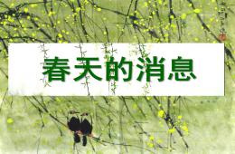中班科学春天的信息PPT课件