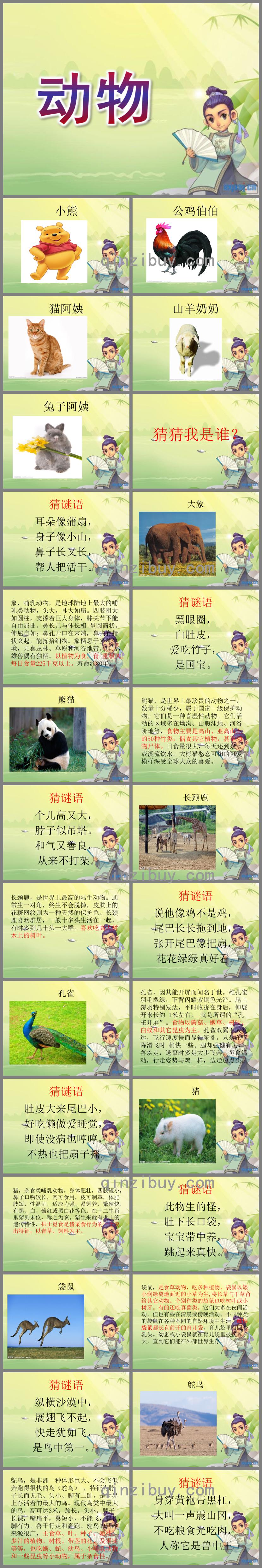 大班语言动物PPT课件