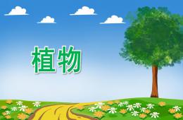 大班语言植物PPT课件