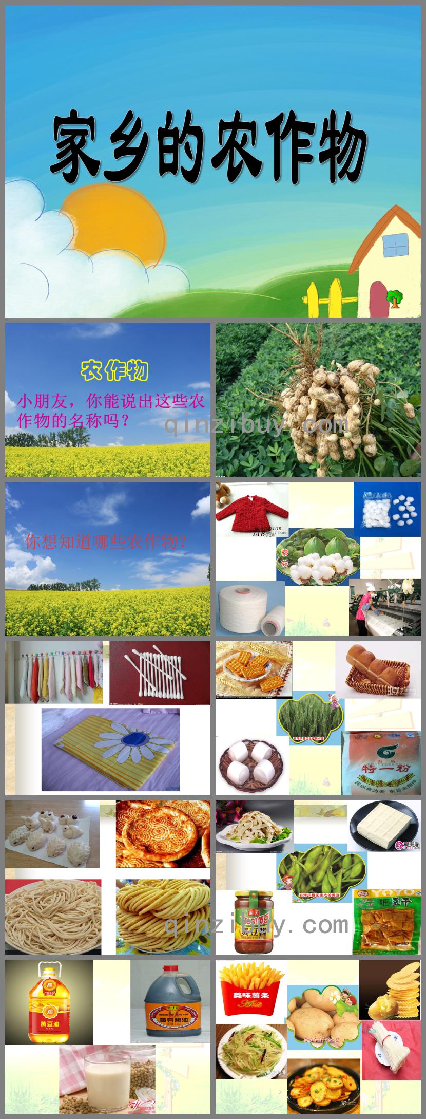大班语言认识农作物PPT课件