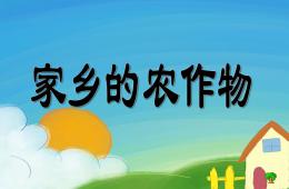 大班语言认识农作物PPT课件