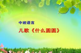 中班语言什么圆圆PPT课件