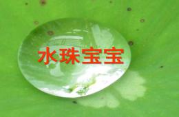 小班语言儿歌水珠宝宝PPT课件