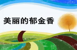 小班美术美丽的郁金香PPT课件