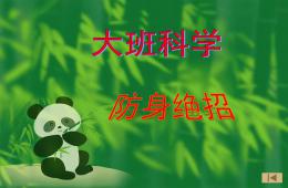 大班防身绝招PPT课件