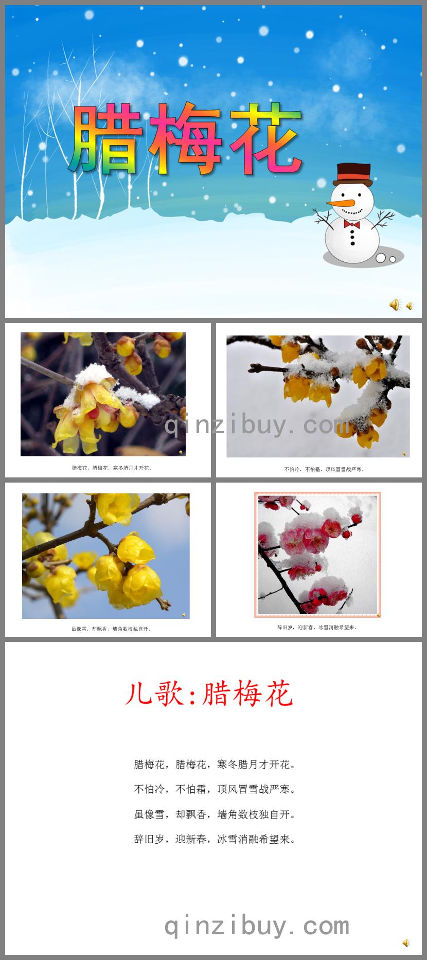 小班语言儿歌腊梅花PPT课件配音音乐