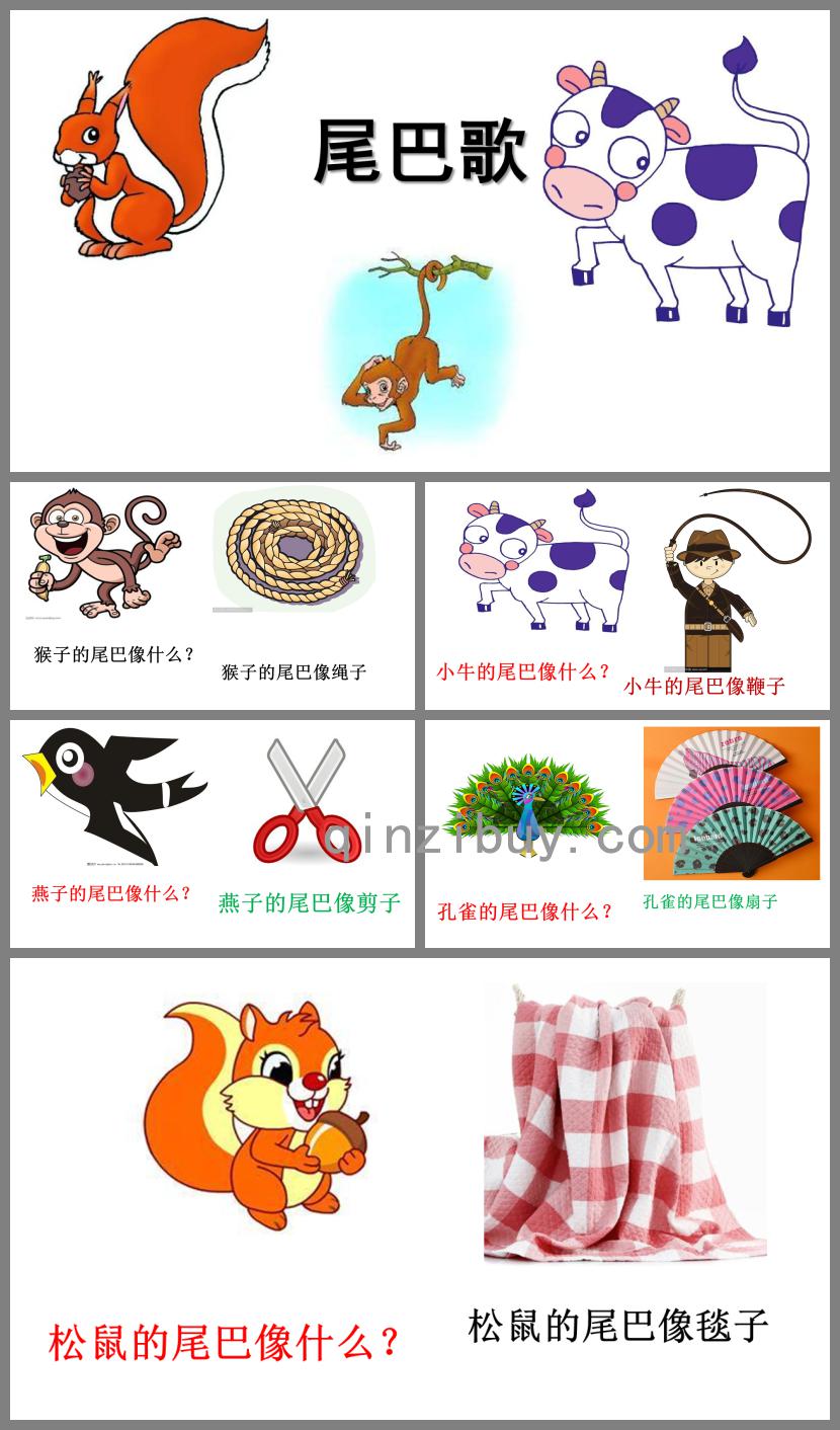 中班尾巴歌PPT课件