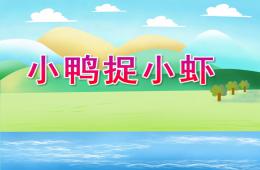 小班语言小鸭捉小虾PPT课件