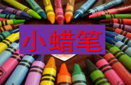 大班语言小蜡笔PPT课件
