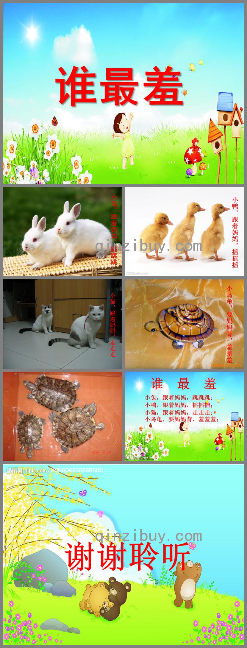 小班语言谁最羞PPT课件