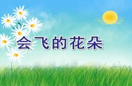 大班语言会飞的花朵PPT课件