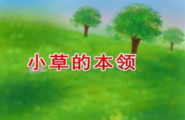 中班主题小草的本领PPT课件