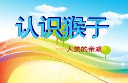 幼儿园科学认识猴子人类的亲戚PPT课件
