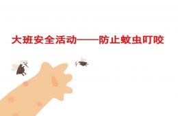 大班安全防止蚊虫叮咬PPT课件