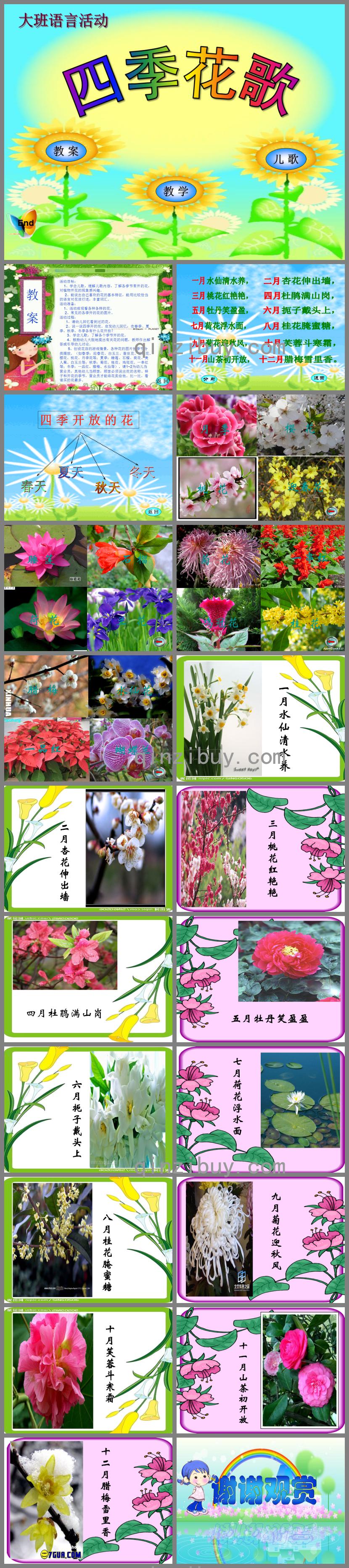 大班语言四季花歌PPT课件