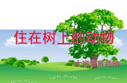 大班语言住在树上的动物PPT课件