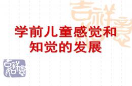 幼儿园学前儿童感觉和知觉的发展PPT课件