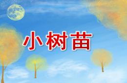 小班语言小树苗PPT课件