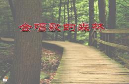 大班语言会唱歌的森林PPT课件