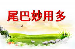 小班语言尾巴的妙用PPT课件