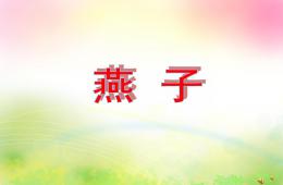幼儿园动物儿歌燕子PPT课件配音音乐