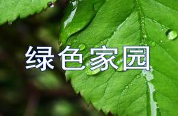 大班社会绿色家园PPT课件