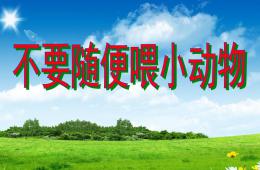 中班社会礼仪不要随便喂小动物PPT课件