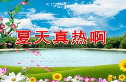 幼儿园夏天故事夏天真热啊PPT课件配音音乐