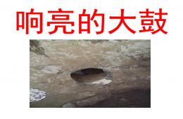 中班语言响亮的大鼓PPT课件
