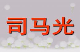 大班语言司马光PPT课件