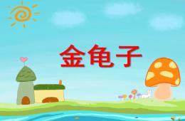 幼儿园动物儿歌金龟子PPT课件配音音乐