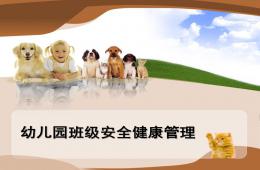 幼儿园班级安全健康管理PPT课件