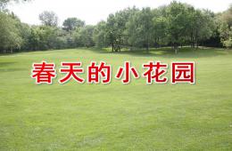 小班美术春天的小花园PPT课件