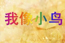 大班语言我像小鸟PPT课件
