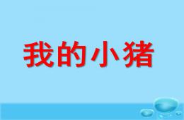中班音乐我的小猪PPT课件