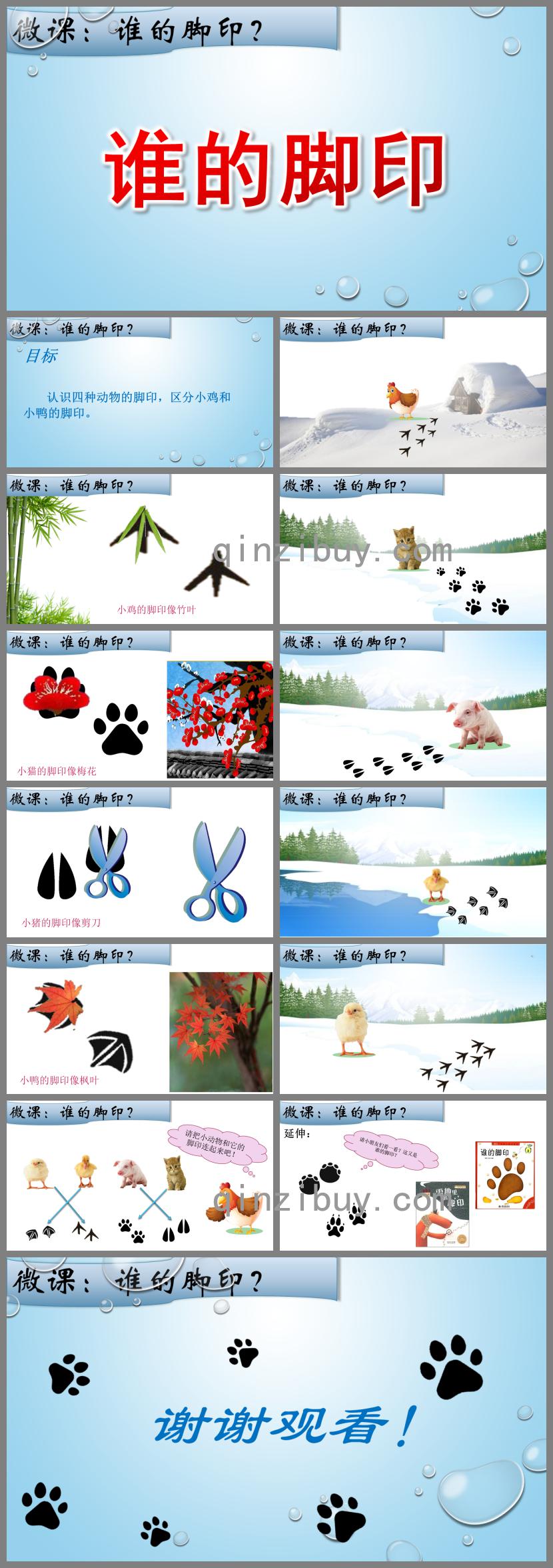 小班科学谁的脚印PPT课件
