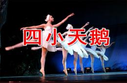 幼儿园音乐四小天鹅PPT课件