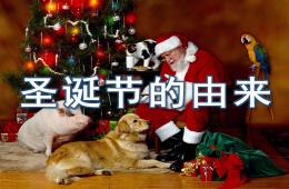 小班圣诞节的由来PPT课件
