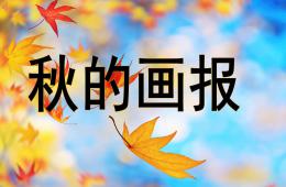 大班语言秋的画报PPT课件配音