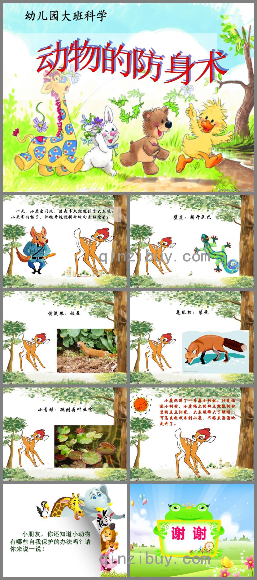 大班科学动物的防身术PPT课件