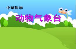 中班科学活动动物气象台PPT课件