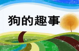 大班主题活动狗的趣事PPT课件