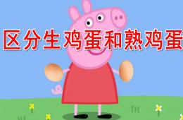 中班科学区分生鸡蛋和熟鸡蛋PPT课件