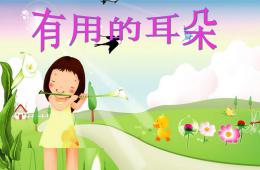中班健康有用的耳朵PPT课件