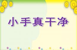 中班健康小手真干净PPT课件