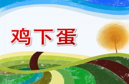 小班数学活动鸡下蛋PPT课件