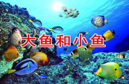 小班音乐大鱼和小鱼PPT课件音乐
