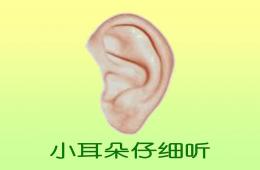 小班语言小耳朵仔细听PPT课件音频