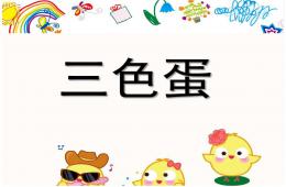 <s>中班科学三色蛋-蛋是什么？PPT课件</s>